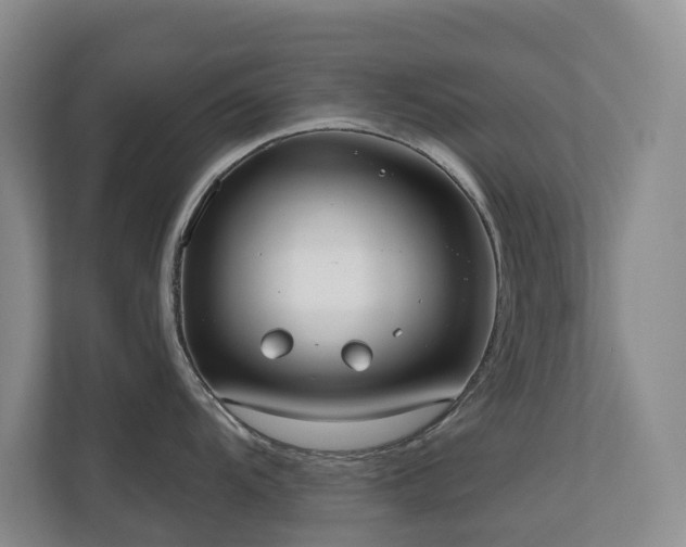 X0000110721104200906121423