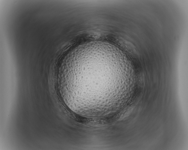 X0000110721105200906121422