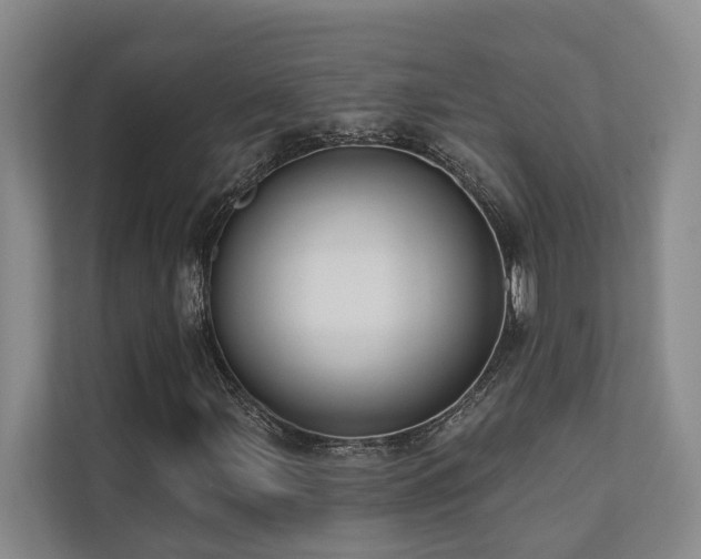 X0000110721107200906121422