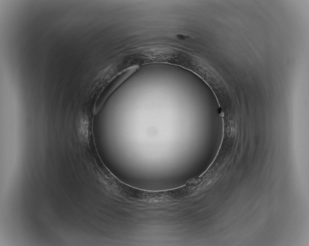 X0000110721108200906121422