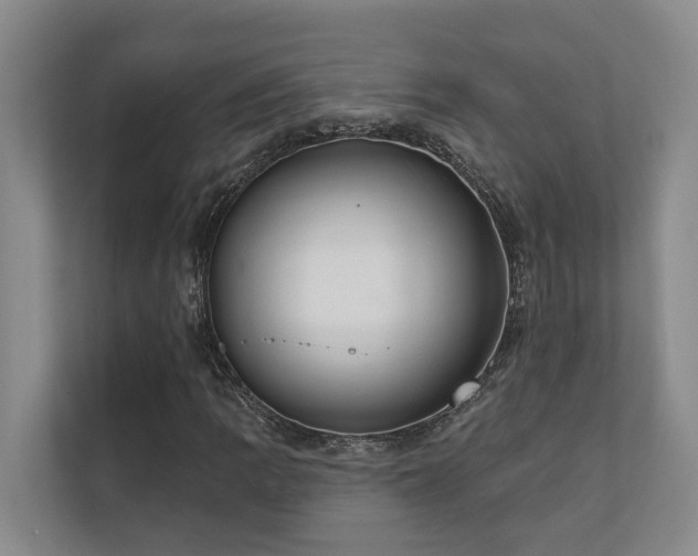 X0000110721109200906121422