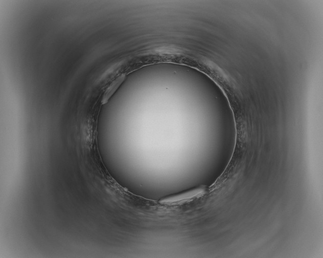 X0000110721110200906121422