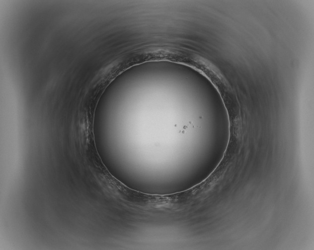 X0000110721111200906121422