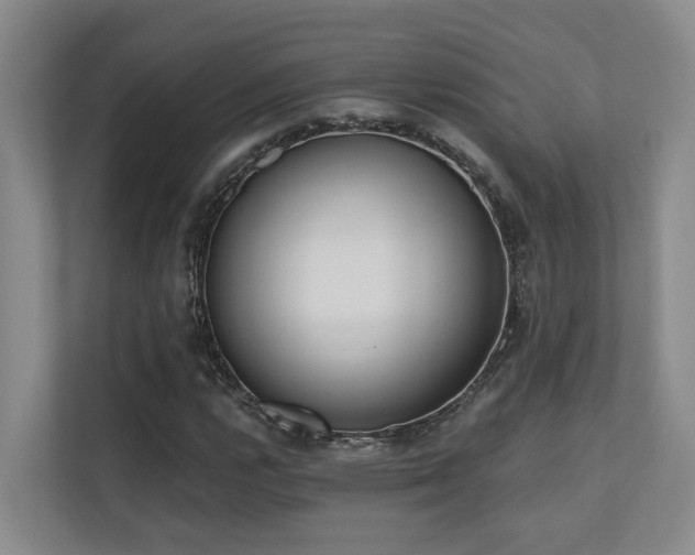 X0000110721112200906121422