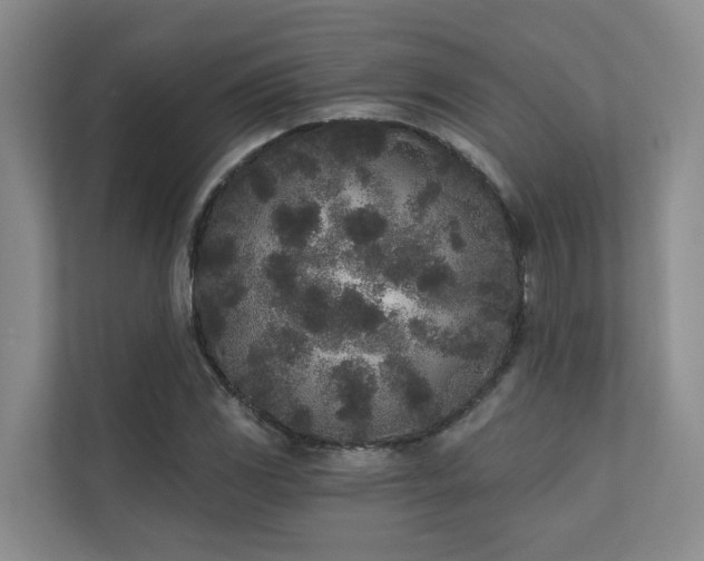 X0000110721117200906121422