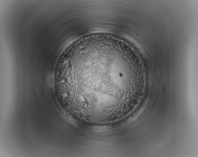 X0000110721121200906121422