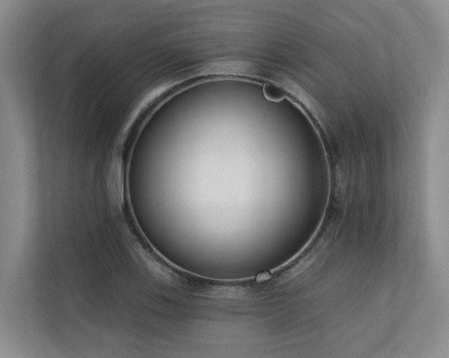 X0000110721123200906121422