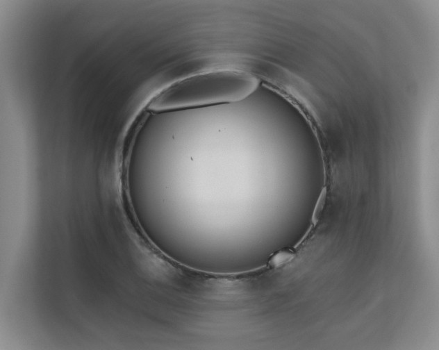 X0000110721124200906121422