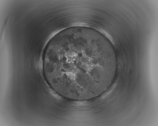 X0000110721125200906121422