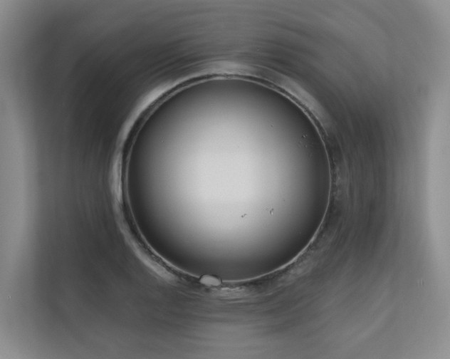 X0000110721128200906121422