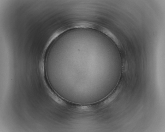 X0000110721130200906121423
