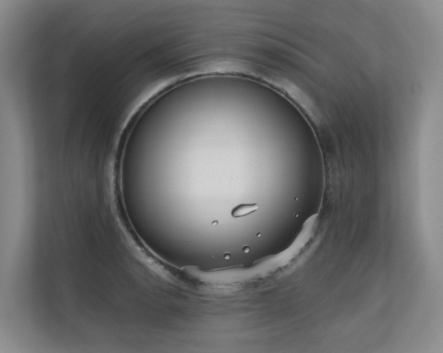 X0000110721134200906121423