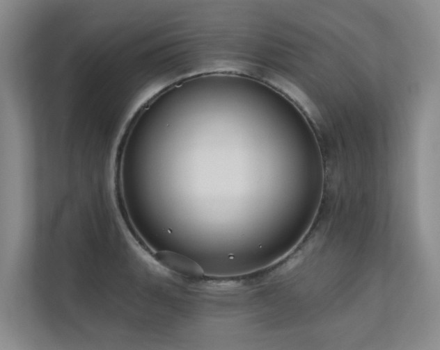X0000110721135200906121423