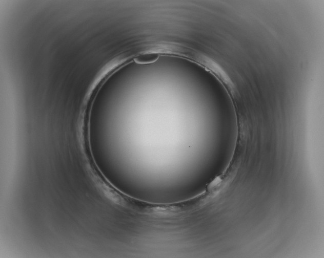 X0000110721138200906121423