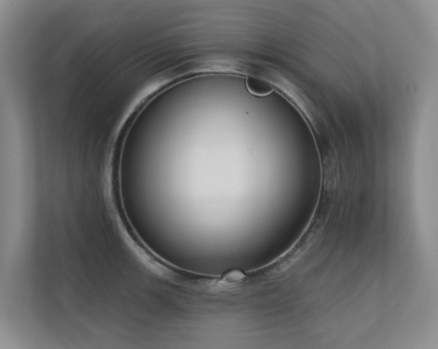 X0000110721139200906121423