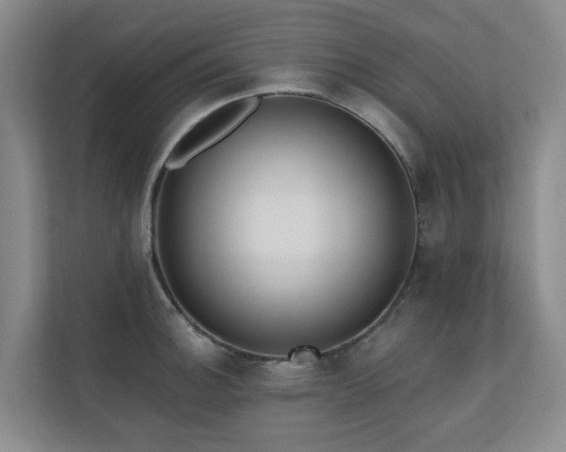 X0000110721140200906121423