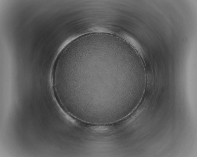 X0000110721141200906121423