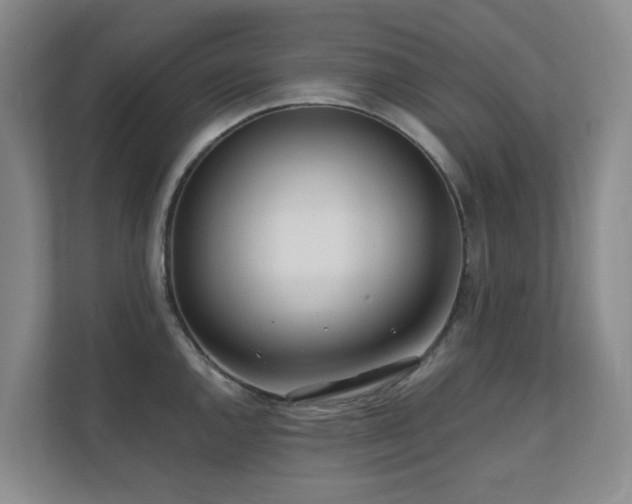 X0000110721144200906121423