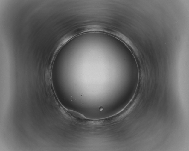 X0000110721145200906121423