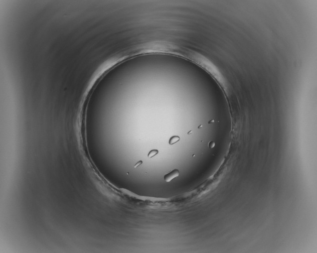 X0000110721146200906121423