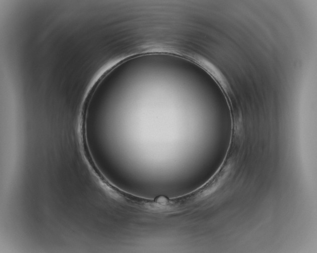 X0000110721149200906121423