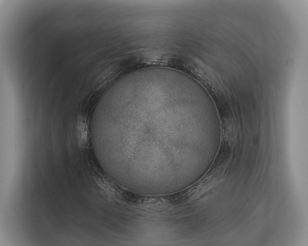 X0000110721154200906121422