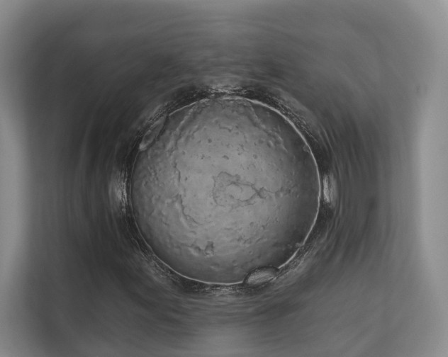 X0000110721155200906121422