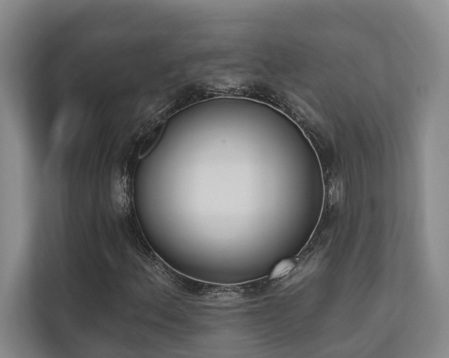 X0000110721156200906121422