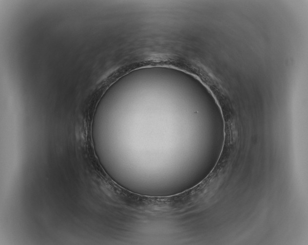 X0000110721158200906121422