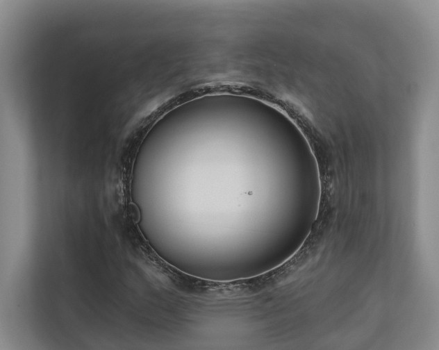 X0000110721159200906121422