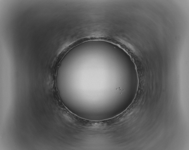 X0000110721160200906121422