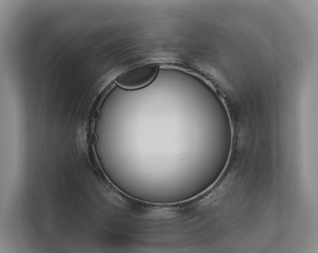 X0000110721162200906121422