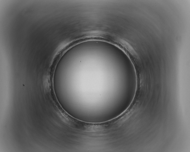 X0000110721164200906121422
