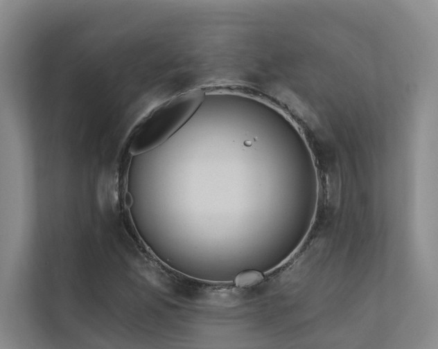 X0000110721165200906121422