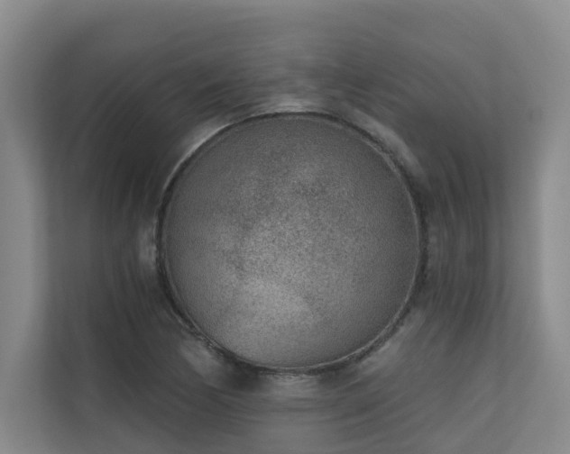 X0000110721170200906121422