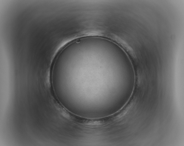 X0000110721174200906121422