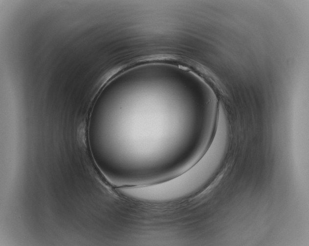 X0000110721177200906121422