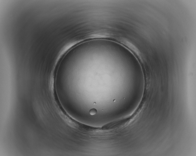 X0000110721179200906121422