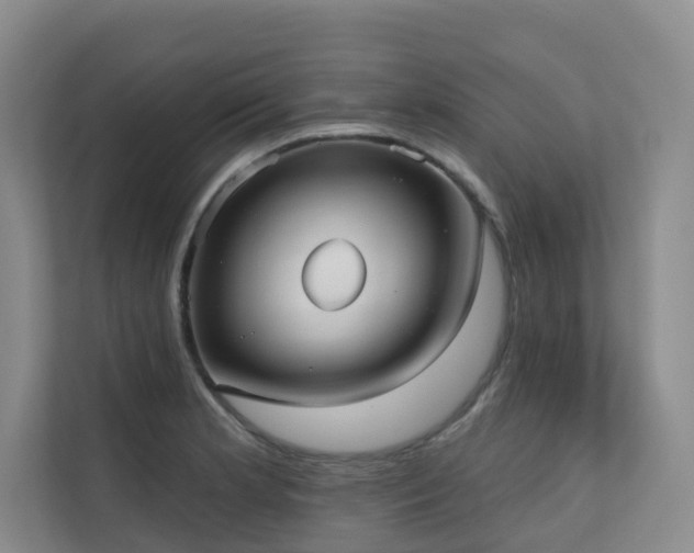 X0000110721181200906121422
