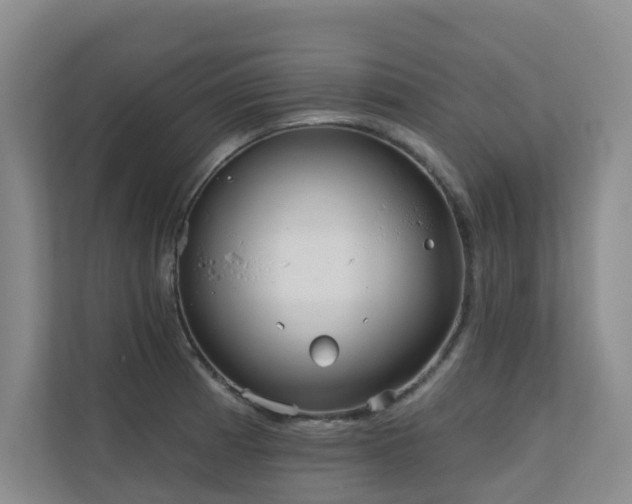 X0000110721185200906121422