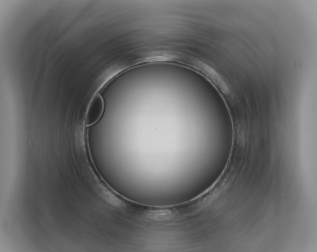 X0000110721186200906121422