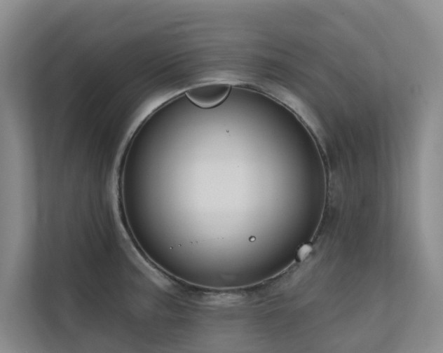 X0000110721187200906121422