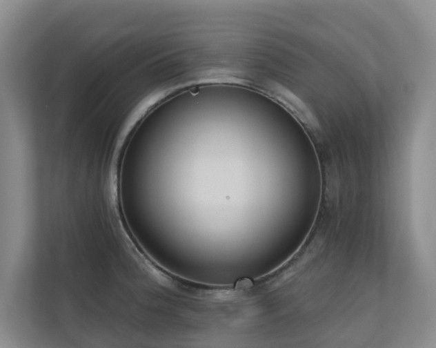 X0000110721188200906121422