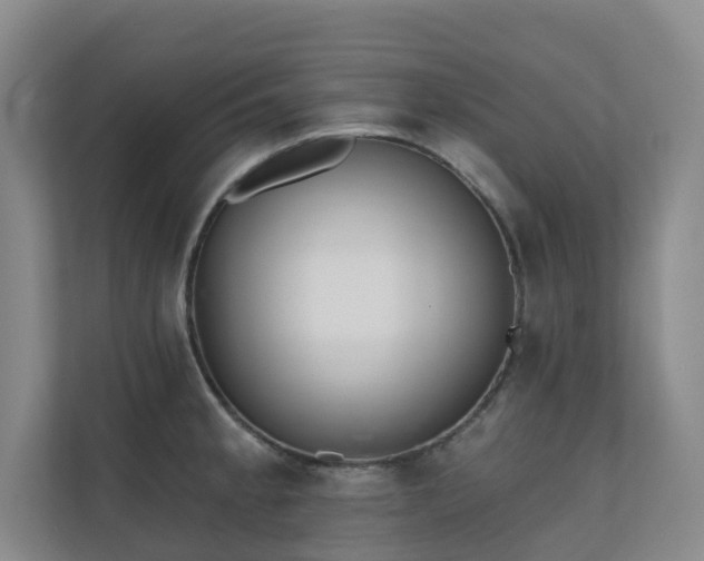 X0000110721189200906121422