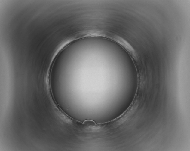 X0000110721190200906121422