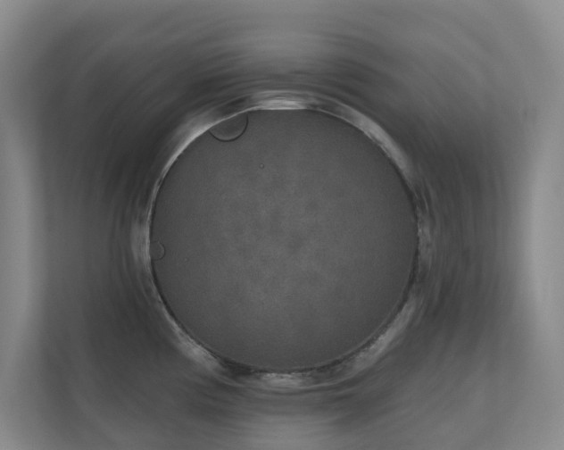 X0000110721194200906121422