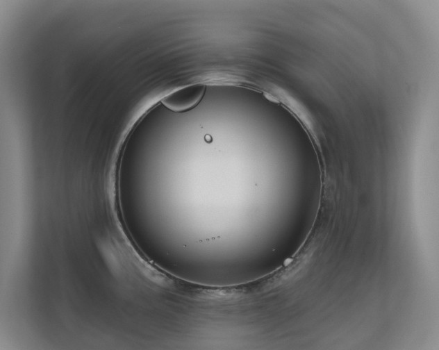 X0000110721195200906121422