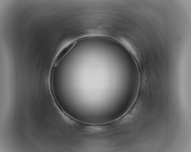 X0000110721197200906121422