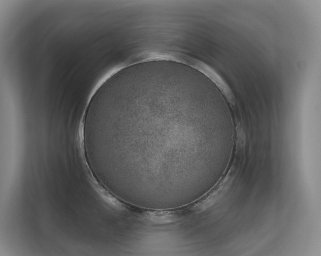 X0000110721198200906121422
