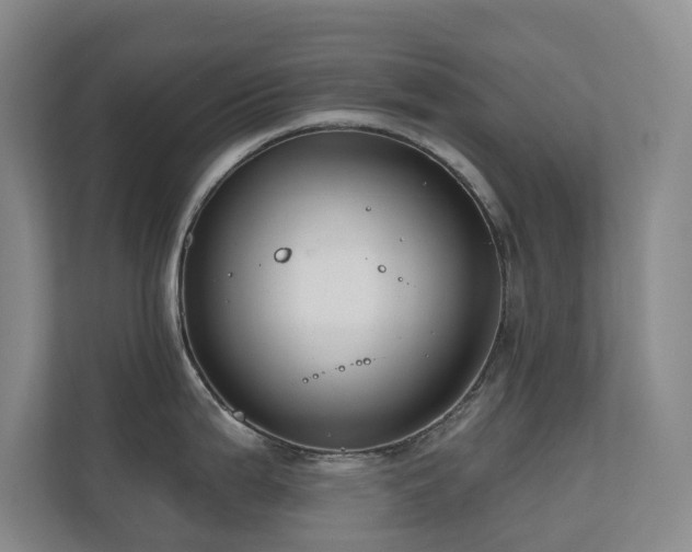 X0000110721199200906121422